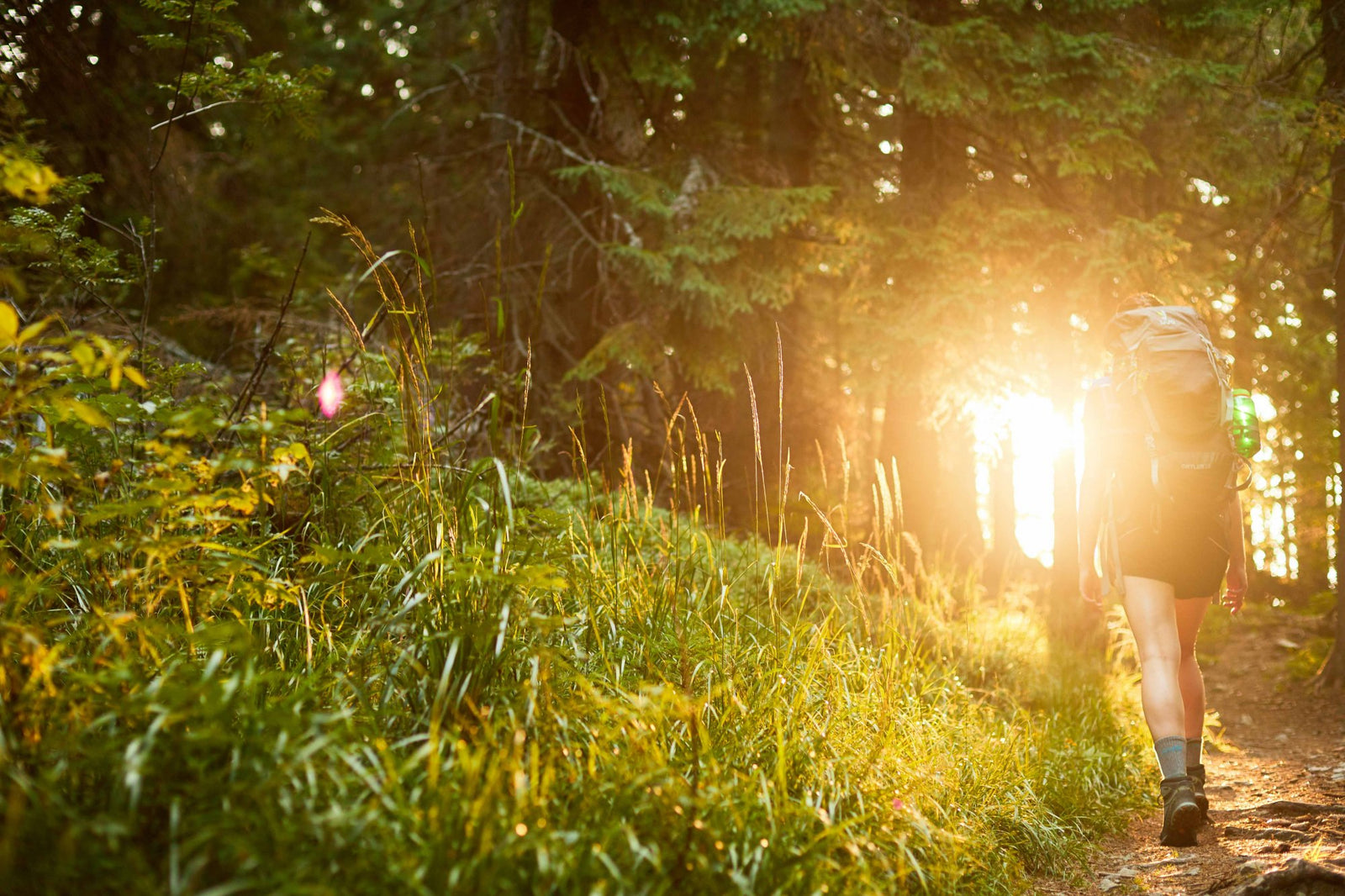 Zanechaj prírodu v stave, v akom si ju našiel: 7 princípov iniciatívy Leave No Trace