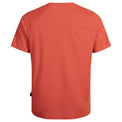 Plumo Men's Merino Light T-shirt